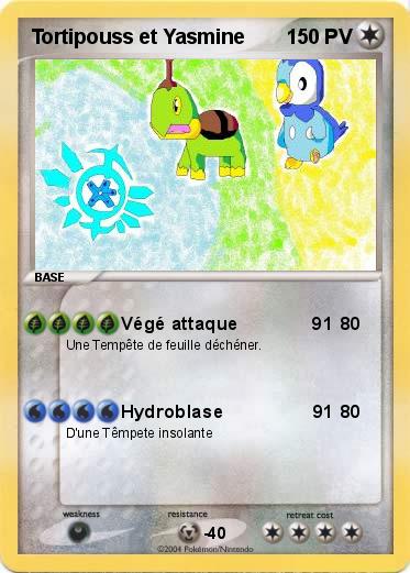 Pokemon Tortipouss et Yasmine