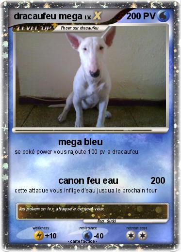 Pokemon dracaufeu mega