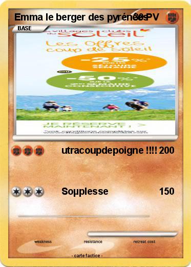 Pokemon Emma le berger des pyrénées