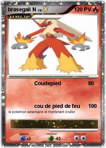 Pokemon brasegali N