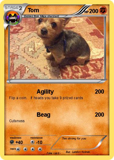 Pokemon Tom
