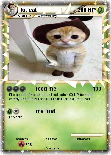 Pokemon kit cat