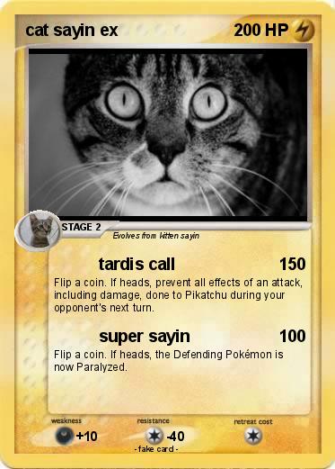 Pokemon cat sayin ex