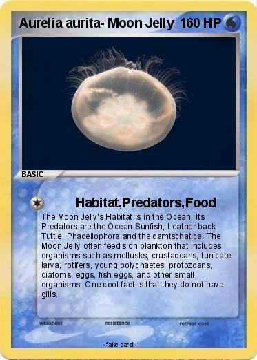 Pokemon Aurelia aurita- Moon Jelly