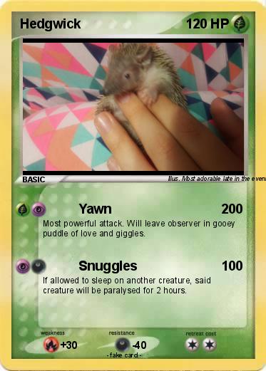 Pokemon Hedgwick
