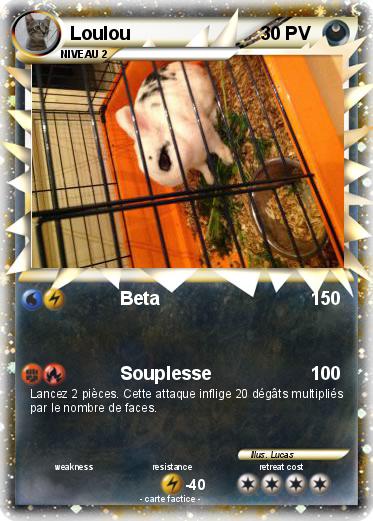 Pokemon Loulou