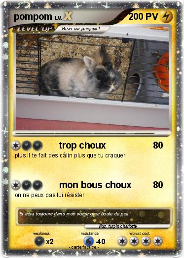 Pokemon pompom