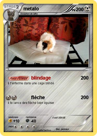 Pokemon metalo