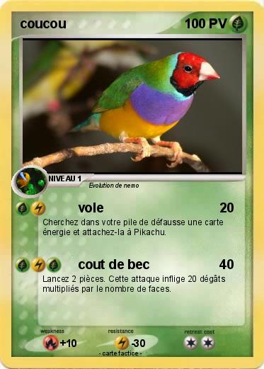 Pokemon coucou