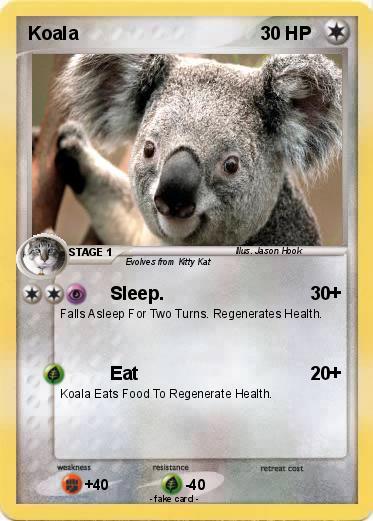 Pokemon Koala