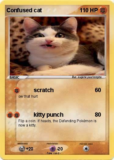 Pokemon Confused cat