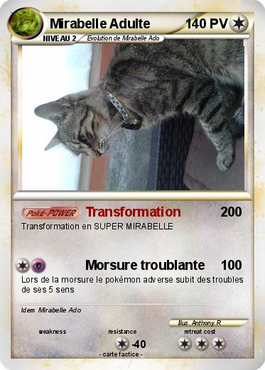 Pokemon Mirabelle Adulte