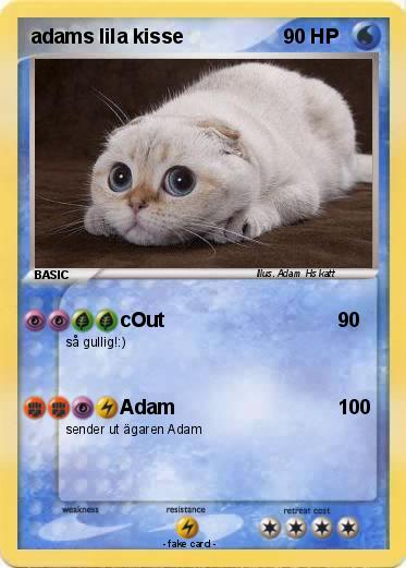 Pokemon adams lila kisse