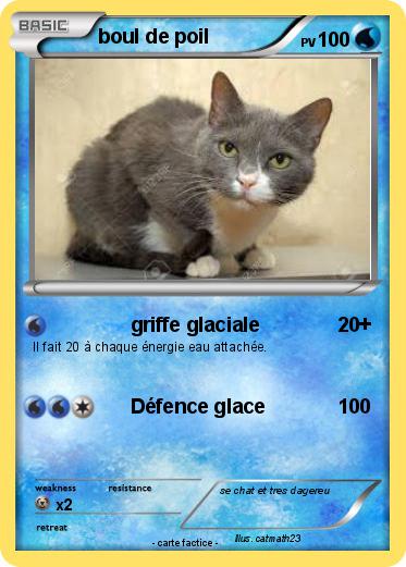 Pokemon boul de poil