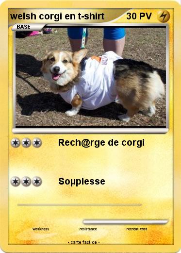 Pokemon welsh corgi en t-shirt