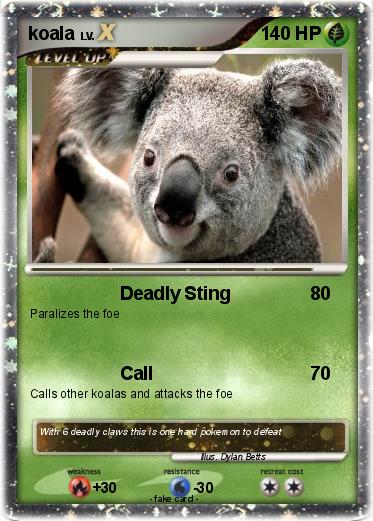 Pokemon koala