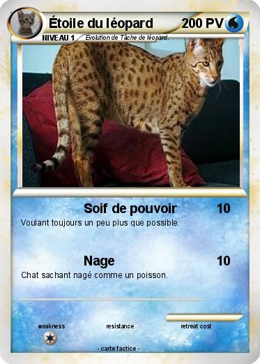 Pokemon Étoile du léopard