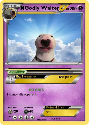Pokemon Godly Walter