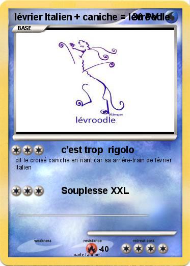 Pokemon lévrier Italien + caniche = lévroodle