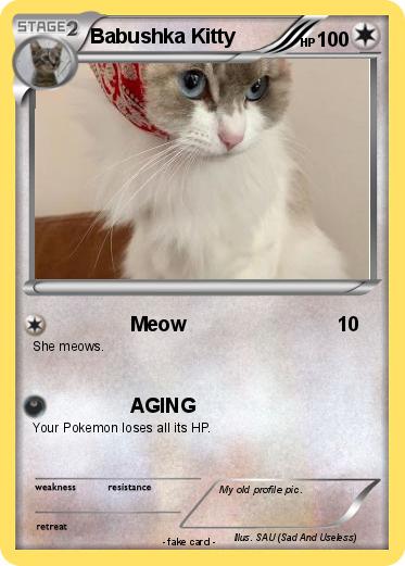 Pokemon Babushka Kitty