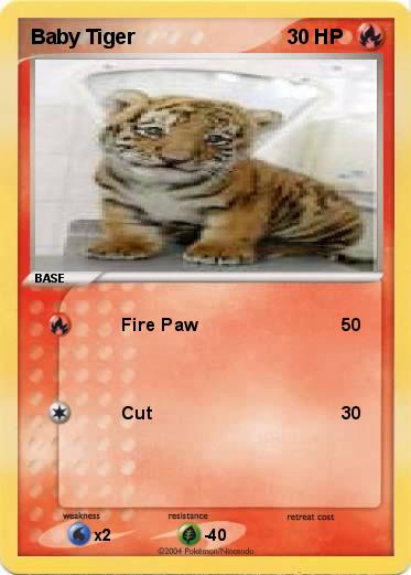 Pokemon Baby Tiger