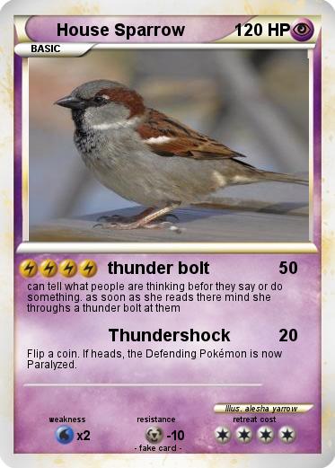Pokemon House Sparrow