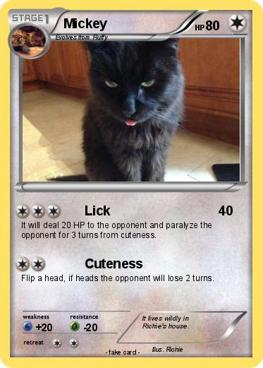 Pokemon Mickey