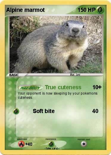 Pokemon Alpine marmot