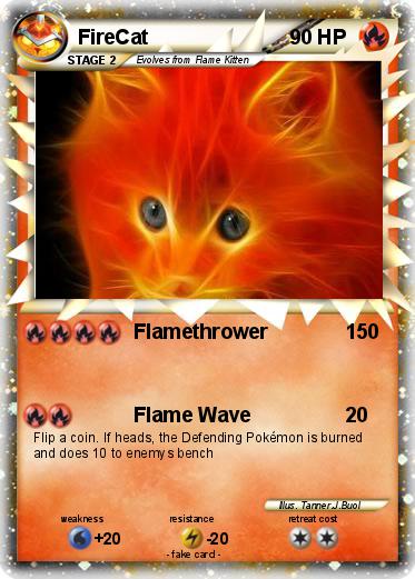 Pokemon FireCat