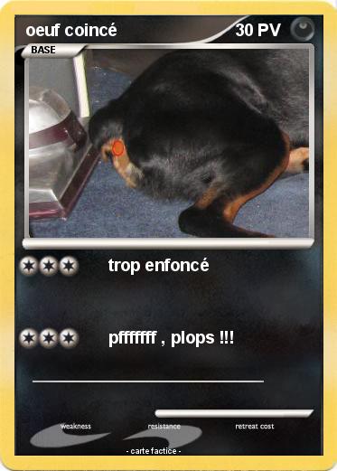 Pokemon oeuf coincé
