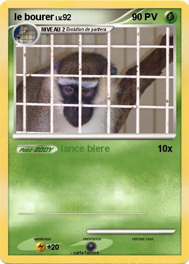Pokemon le bourer