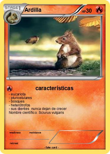 Pokemon Ardilla