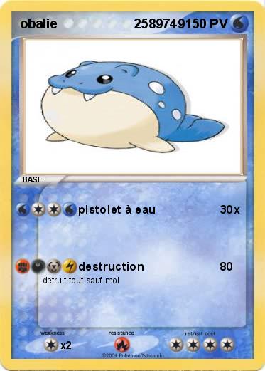 Pokemon obalie                     2589749