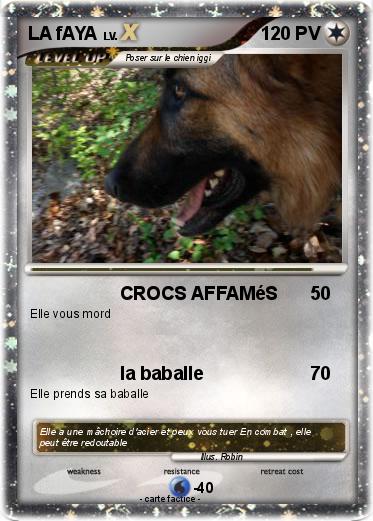Pokemon LA fAYA