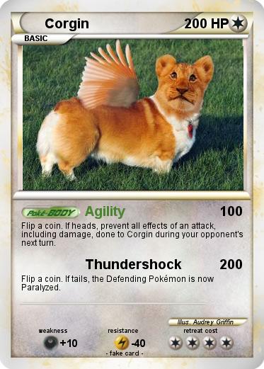 Pokemon Corgin
