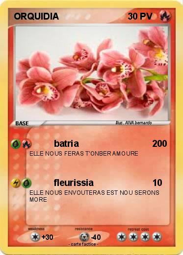 Pokemon ORQUIDIA