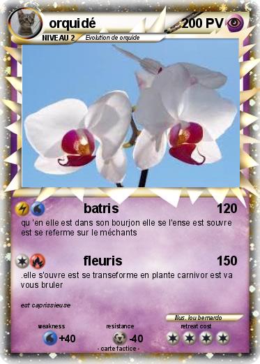 Pokemon orquidé