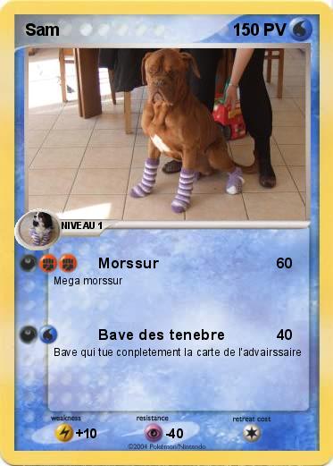 Pokemon Sam