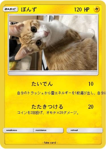 Pokemon ぽんず