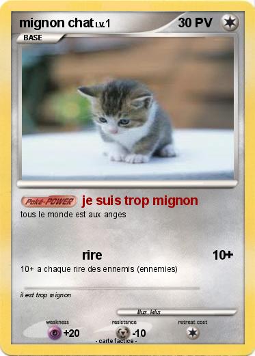 Pokemon mignon chat