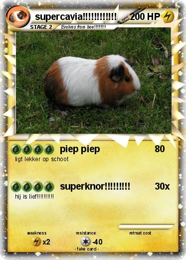 Pokemon supercavia!!!!!!!!!!!!