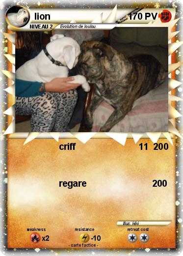 Pokemon lion