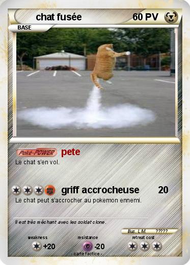 Pokemon chat fusée
