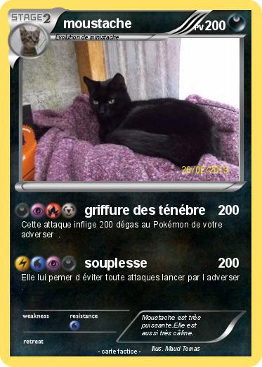 Pokemon moustache