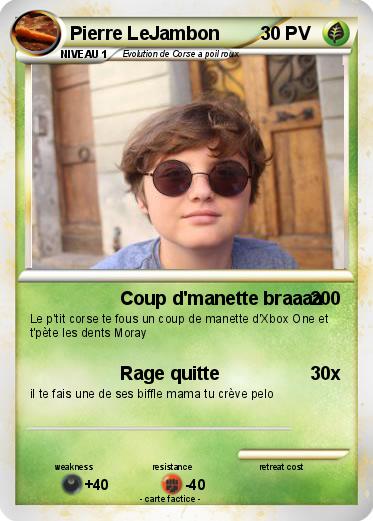 Pokemon Pierre LeJambon