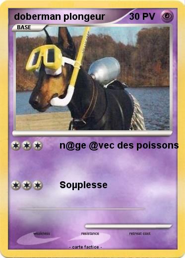 Pokemon doberman plongeur