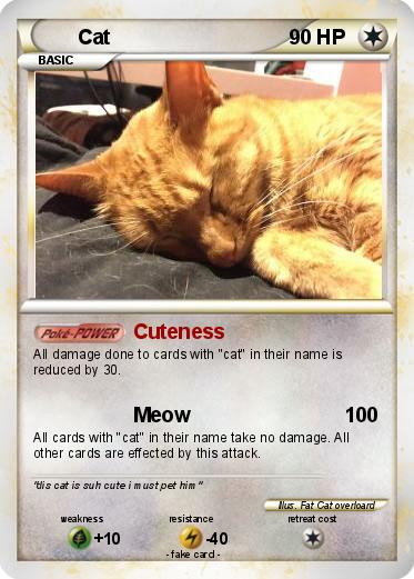 Pokemon Cat