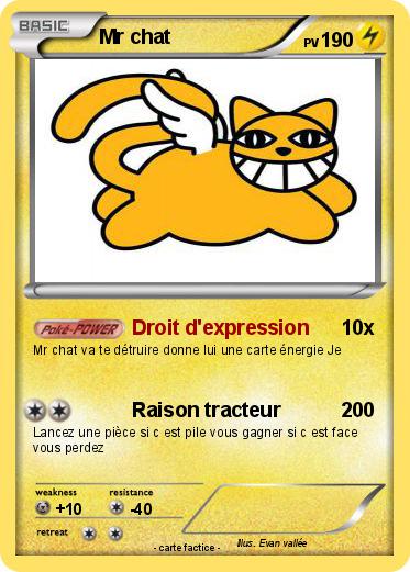 Pokemon Mr chat