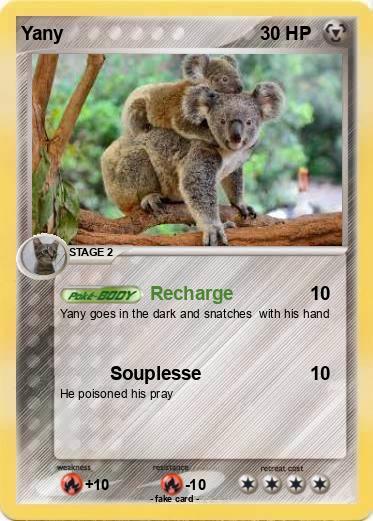 Pokemon Yany