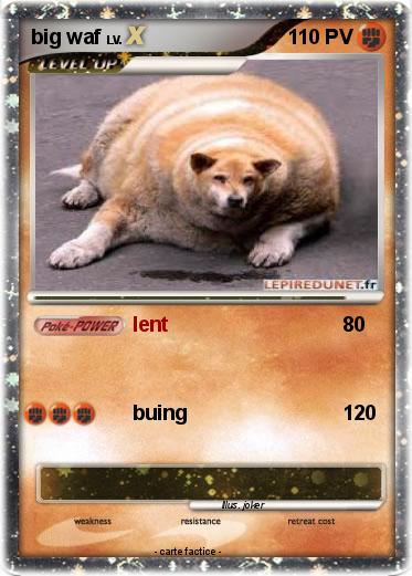 Pokemon big waf